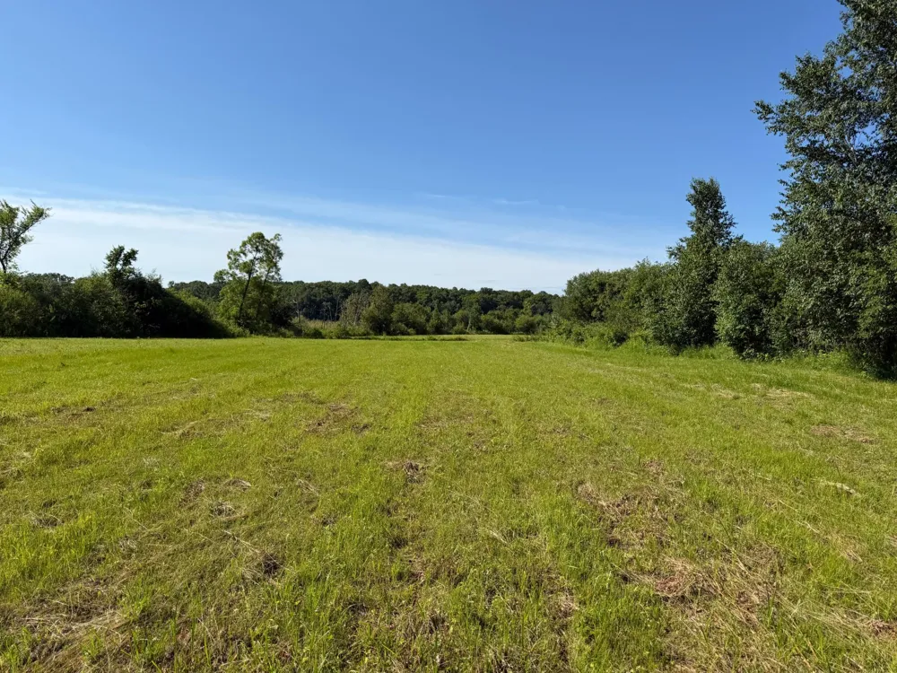 TBD 215th Avenue Long Prairie, MN 56347