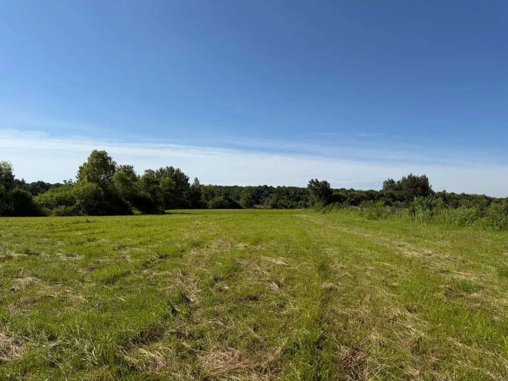 TBD 215th Avenue Long Prairie, MN 56347