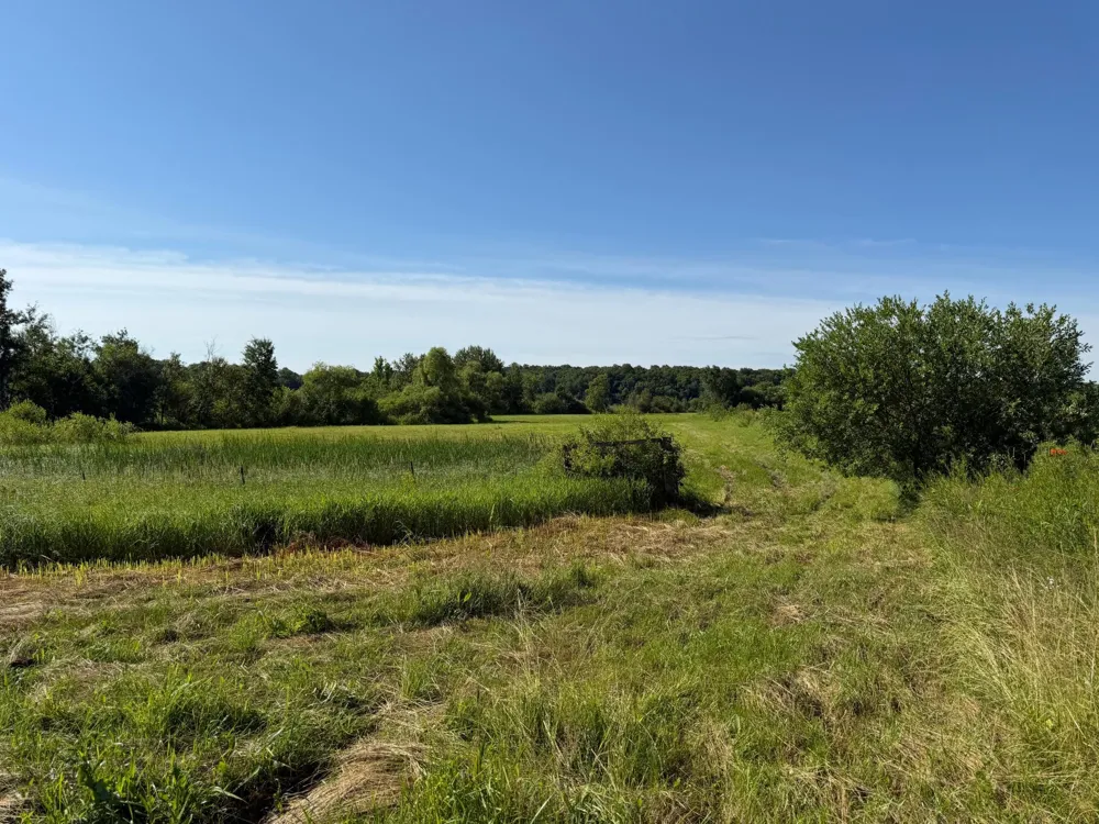 TBD 215th Avenue Long Prairie, MN 56347