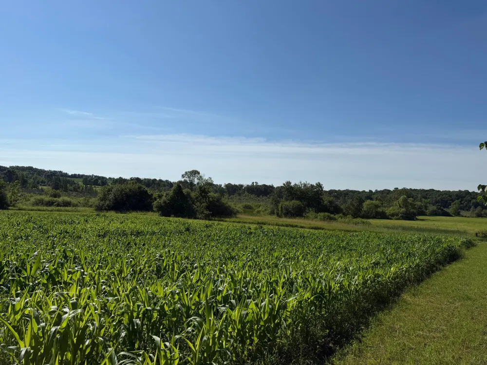 TBD 215th Avenue Long Prairie, MN 56347