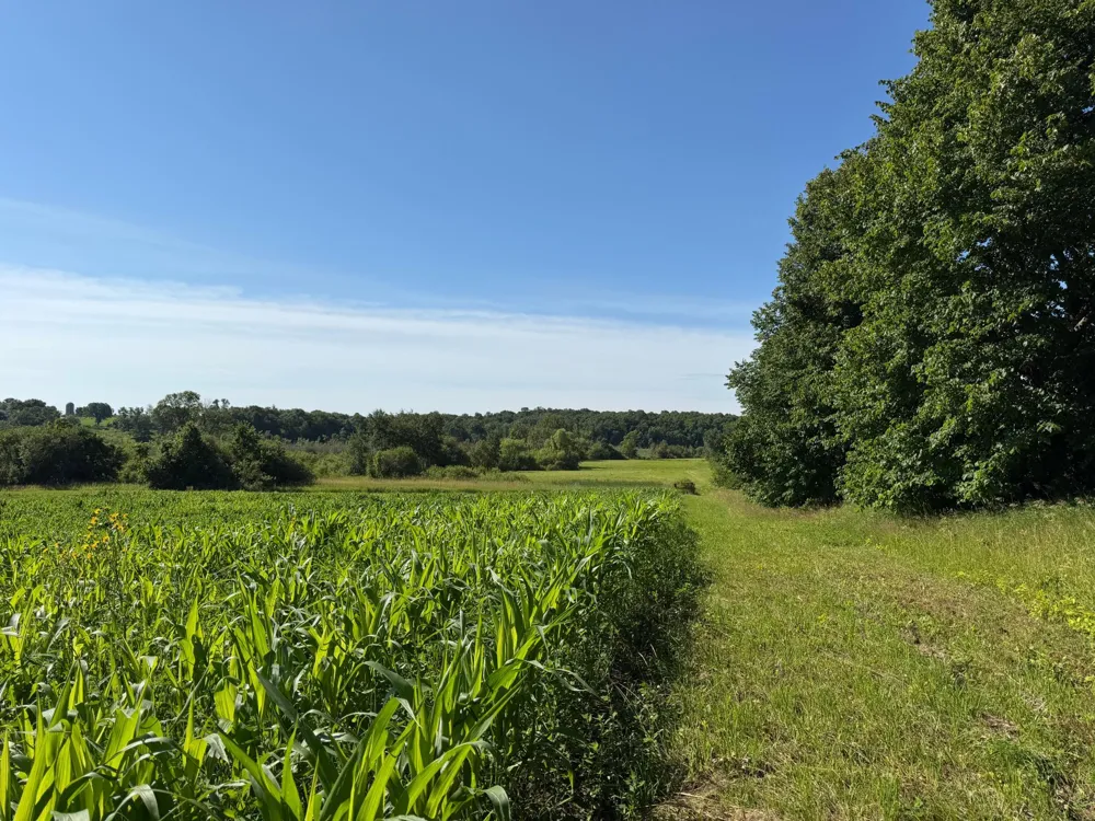 TBD 215th Avenue Long Prairie, MN 56347