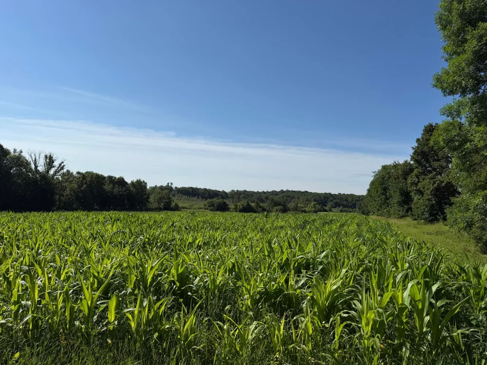 TBD 215th Avenue Long Prairie, MN 56347