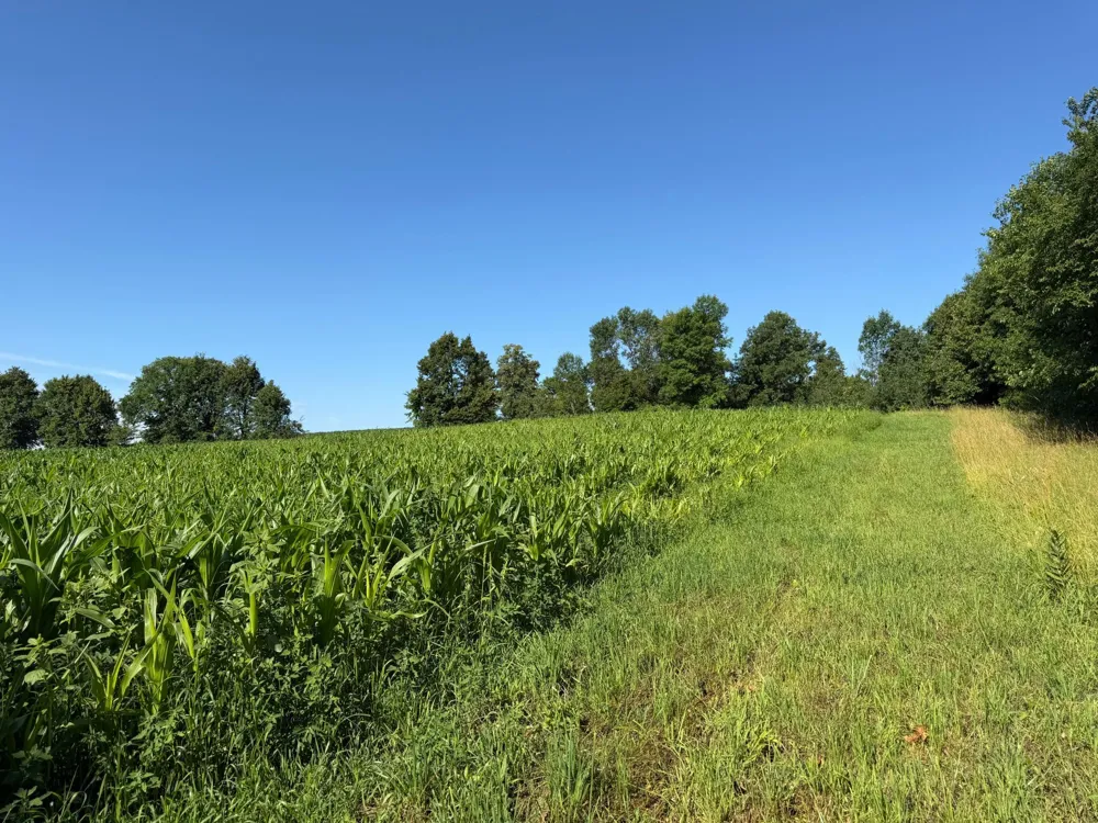 TBD 215th Avenue Long Prairie, MN 56347