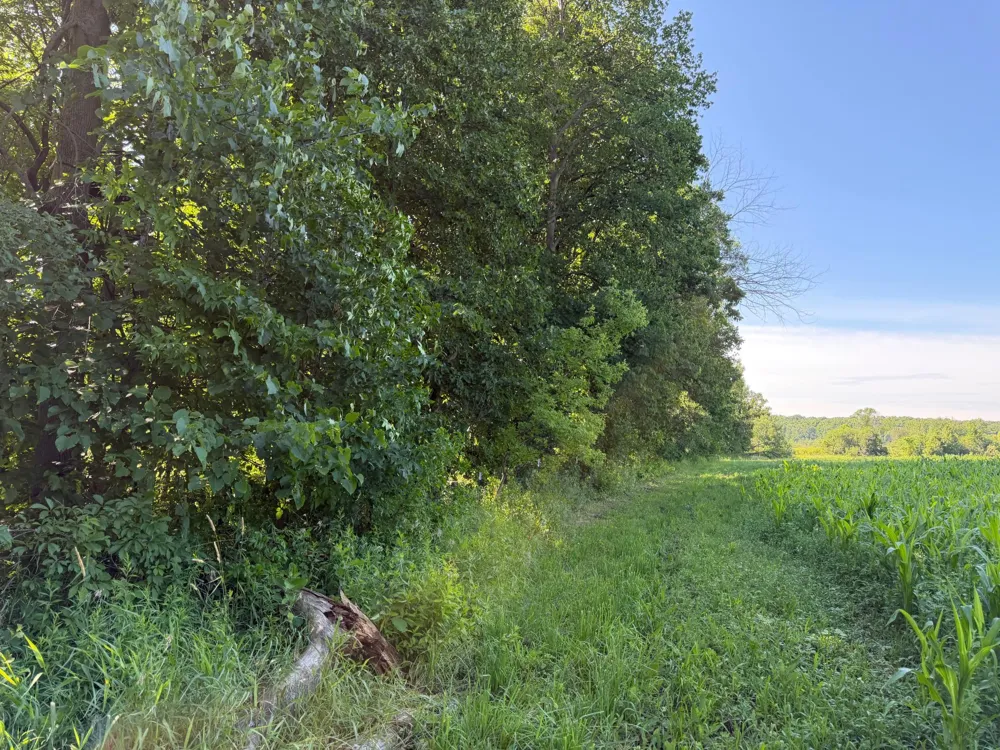 TBD 215th Avenue Long Prairie, MN 56347