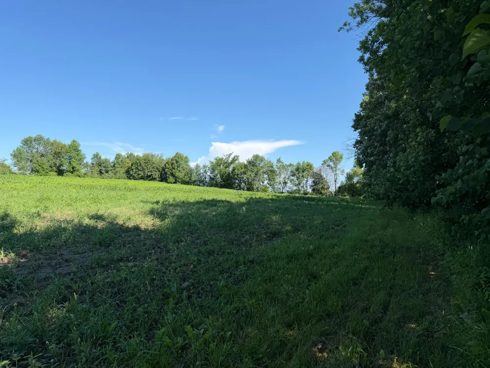TBD 215th Avenue Long Prairie, MN 56347