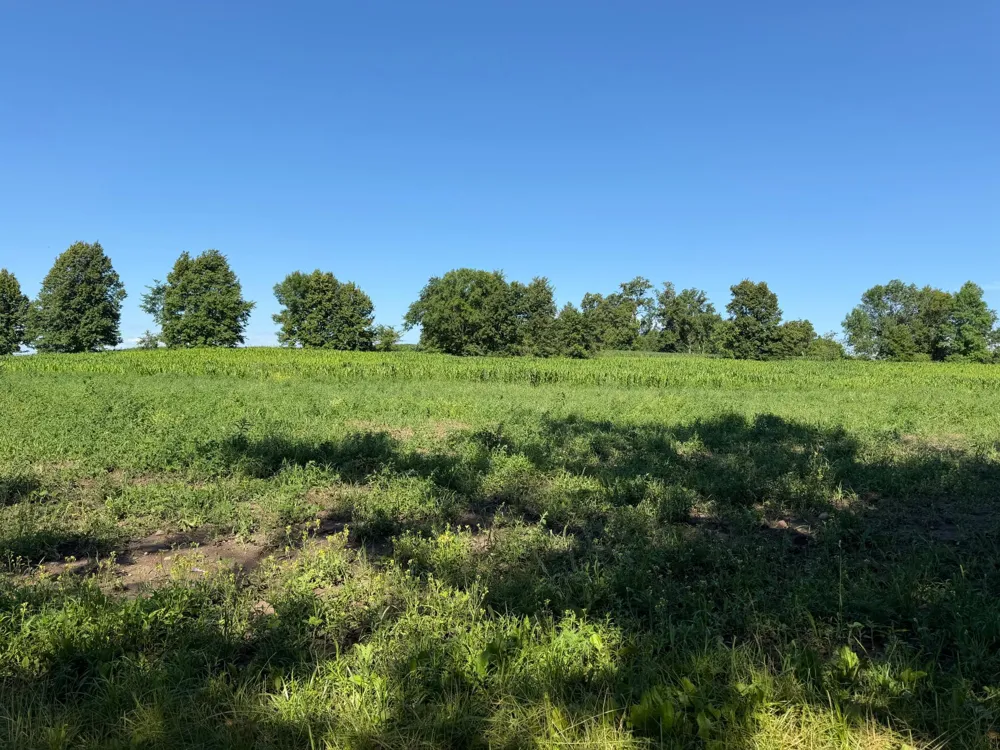 TBD 215th Avenue Long Prairie, MN 56347
