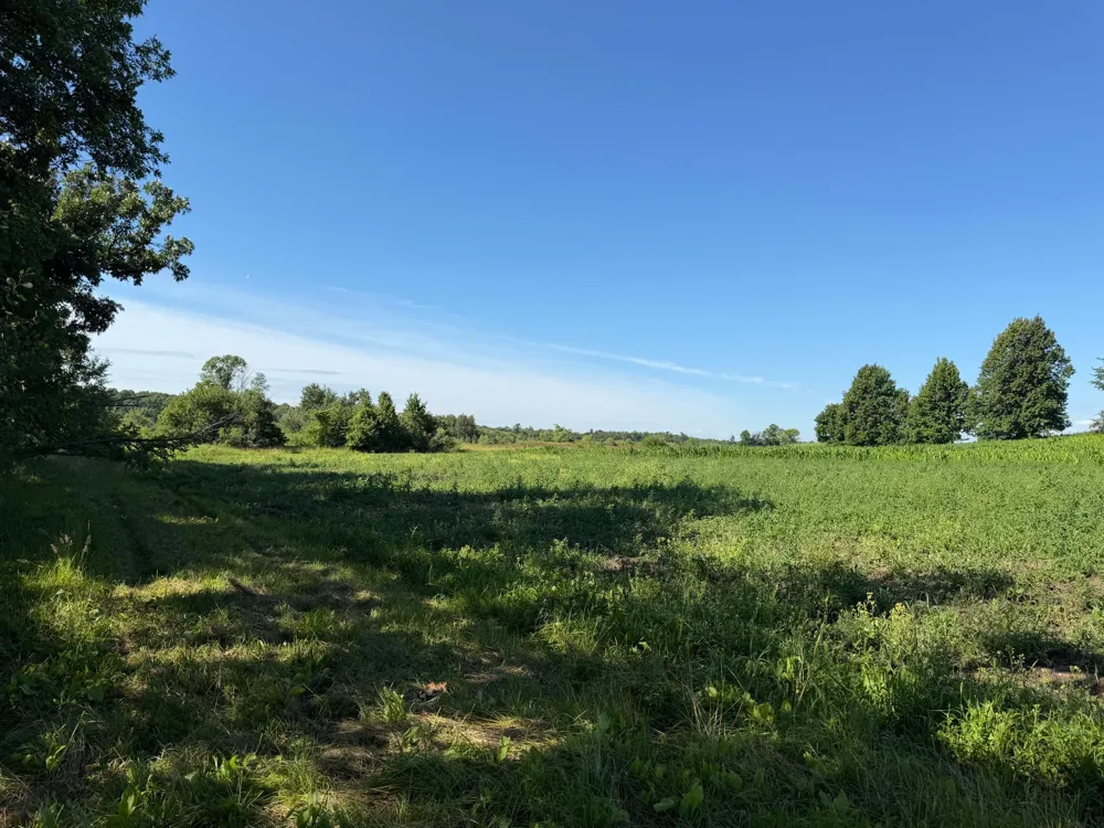 TBD 215th Avenue Long Prairie, MN 56347