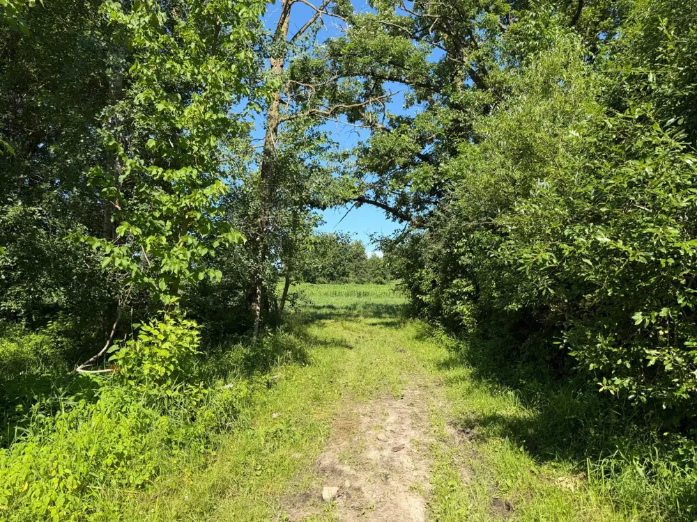 TBD 215th Avenue Long Prairie, MN 56347
