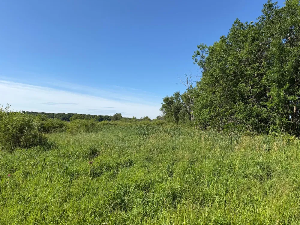 TBD 215th Avenue Long Prairie, MN 56347