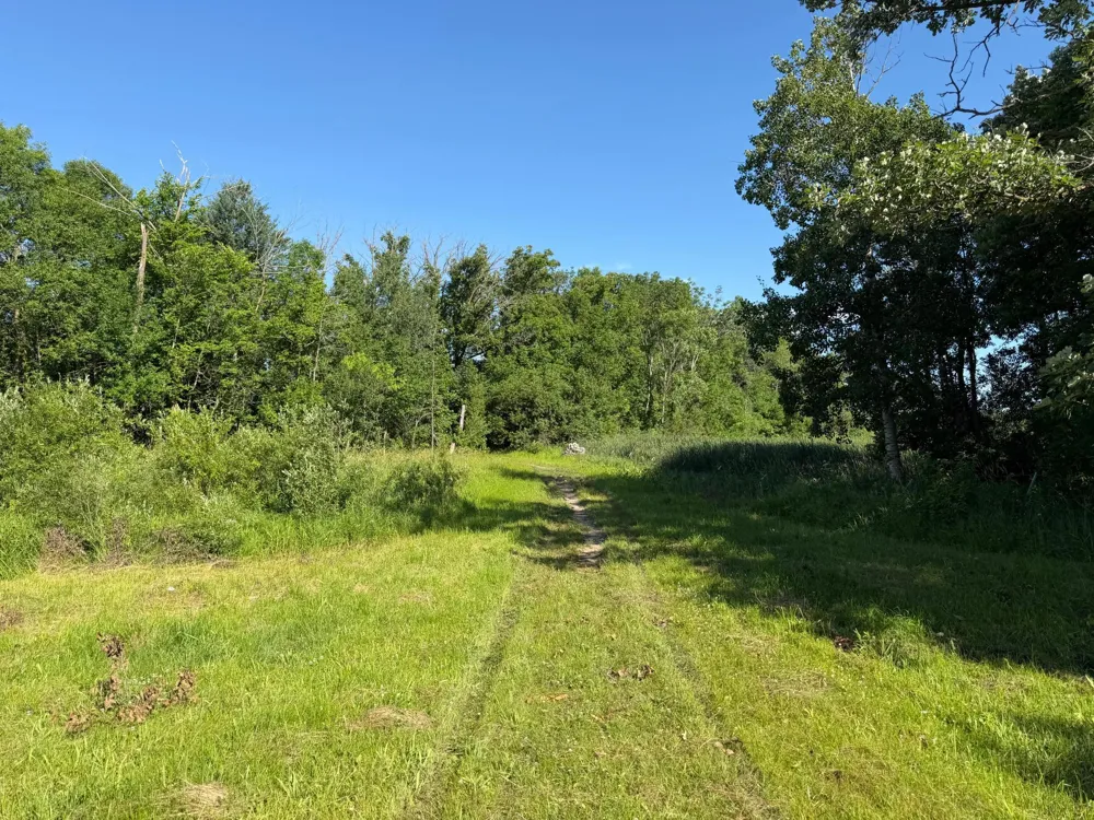 TBD 215th Avenue Long Prairie, MN 56347