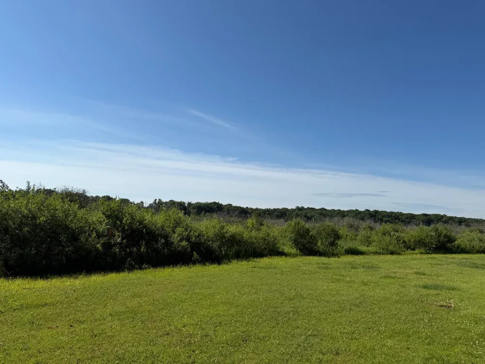 TBD 215th Avenue Long Prairie, MN 56347