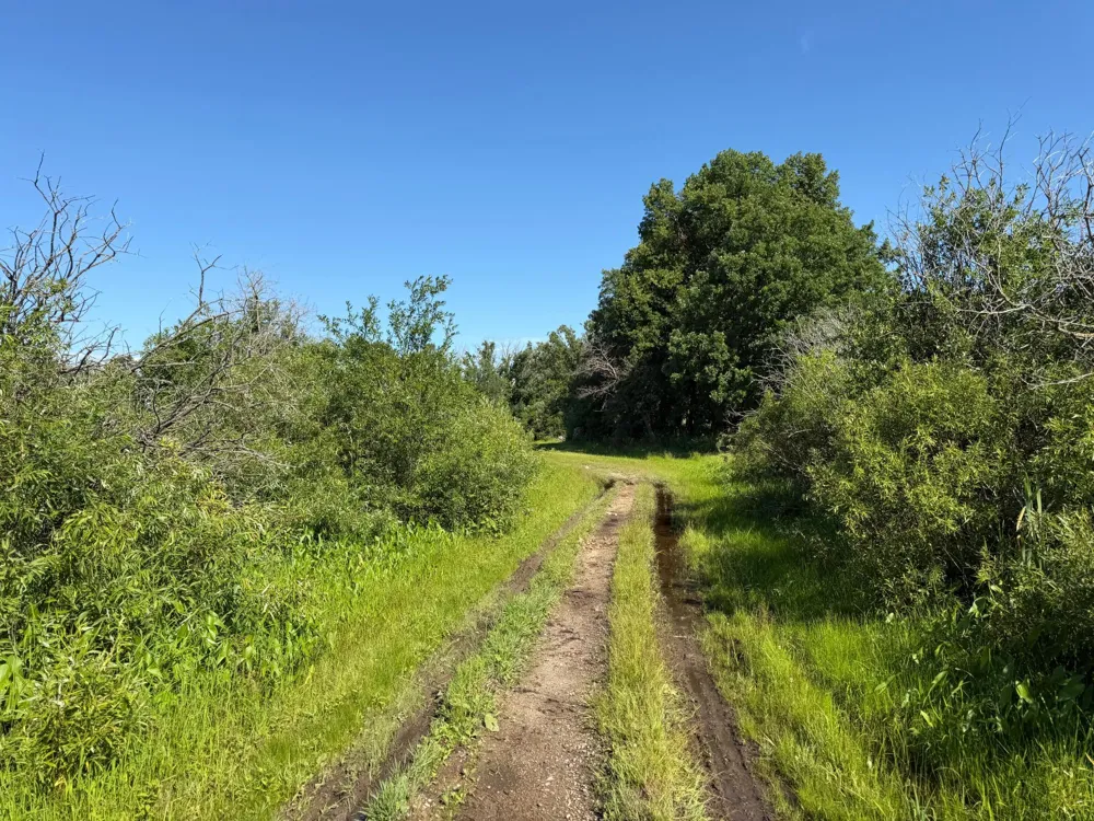 TBD 215th Avenue Long Prairie, MN 56347