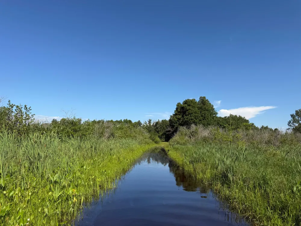 TBD 215th Avenue Long Prairie, MN 56347