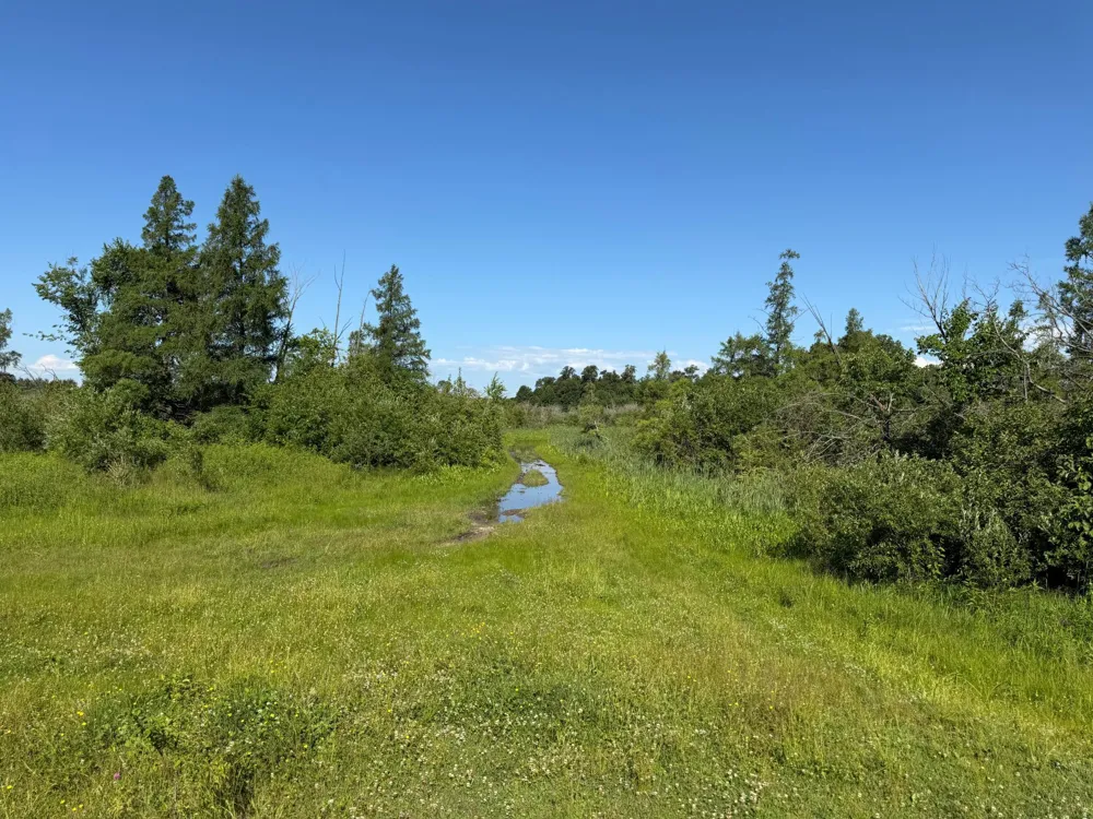 TBD 215th Avenue Long Prairie, MN 56347