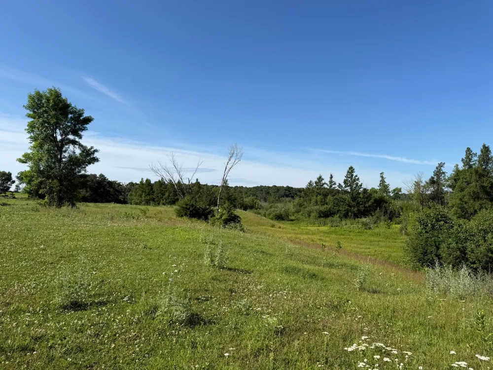 TBD 215th Avenue Long Prairie, MN 56347