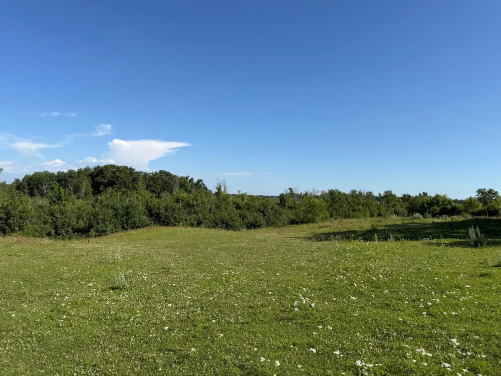 TBD 215th Avenue Long Prairie, MN 56347