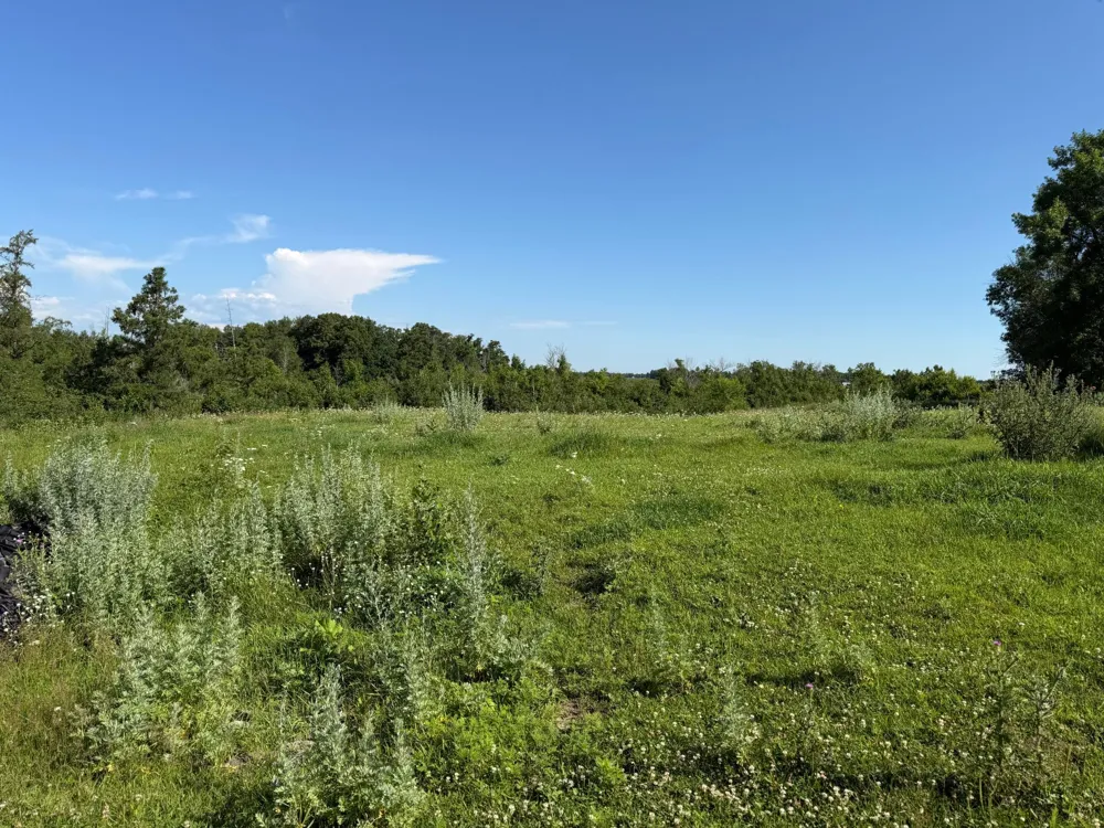 TBD 215th Avenue Long Prairie, MN 56347