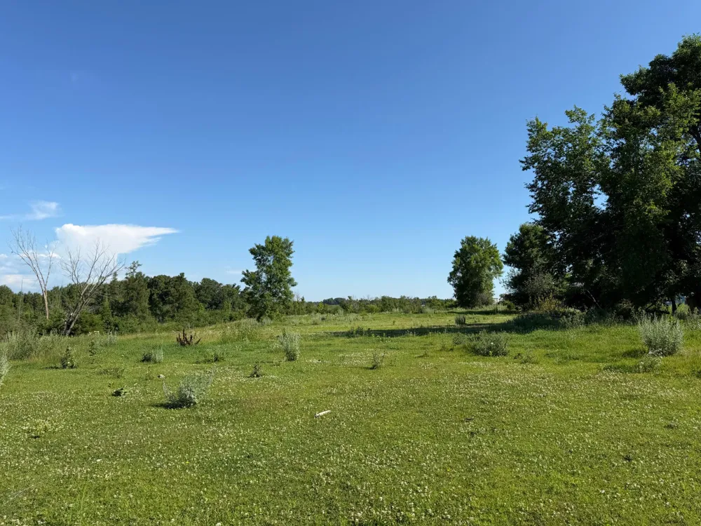 TBD 215th Avenue Long Prairie, MN 56347