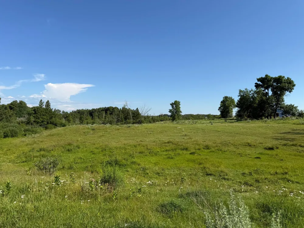 TBD 215th Avenue Long Prairie, MN 56347