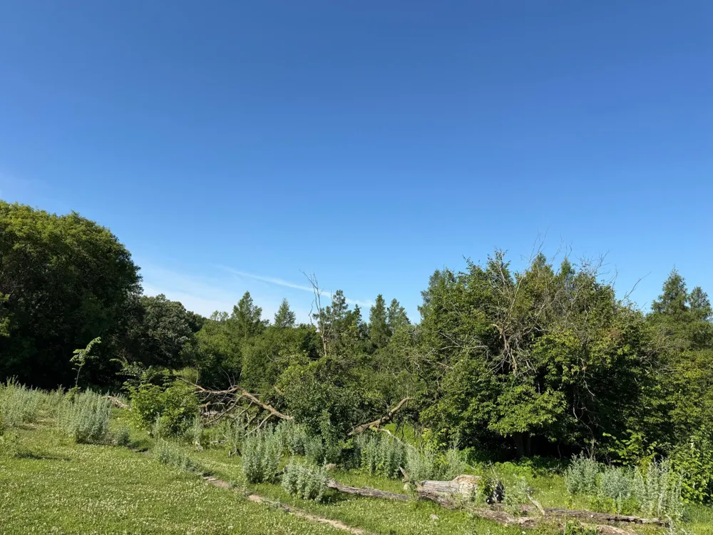 TBD 215th Avenue Long Prairie, MN 56347