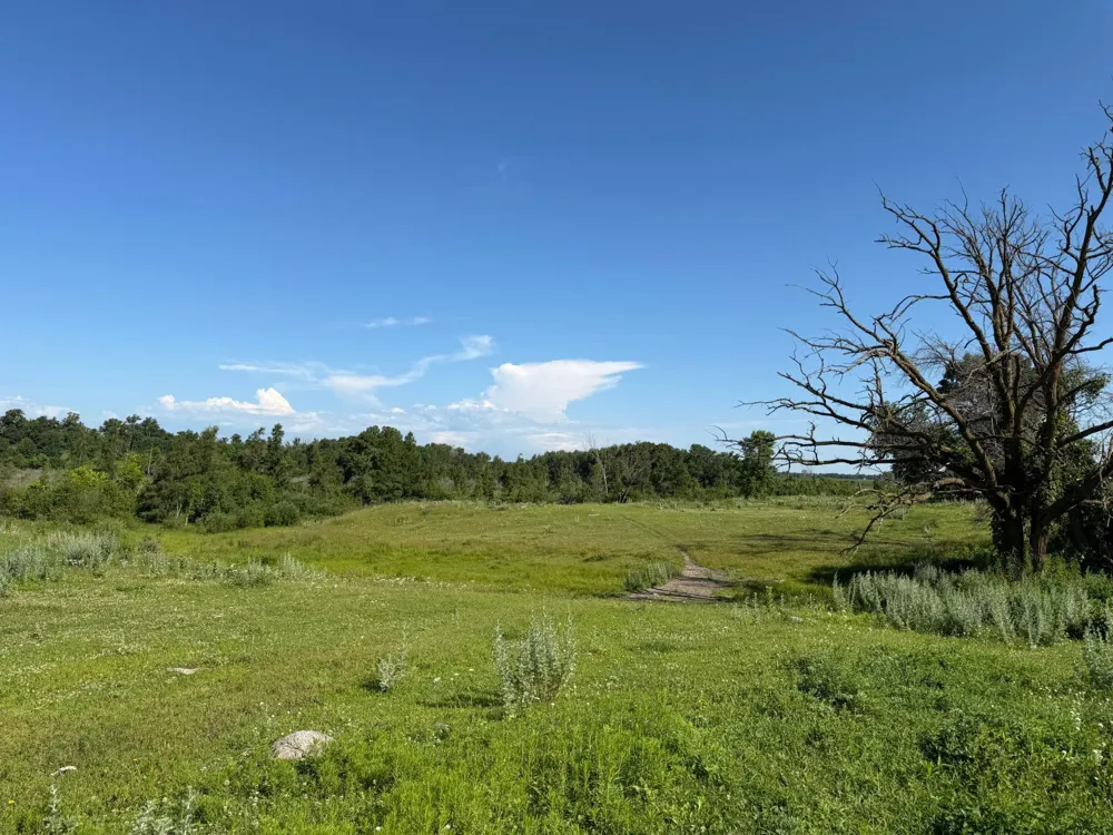 TBD 215th Avenue Long Prairie, MN 56347