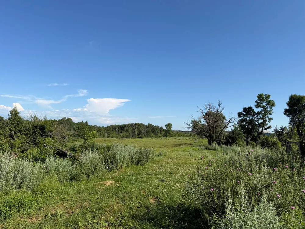 TBD 215th Avenue Long Prairie, MN 56347