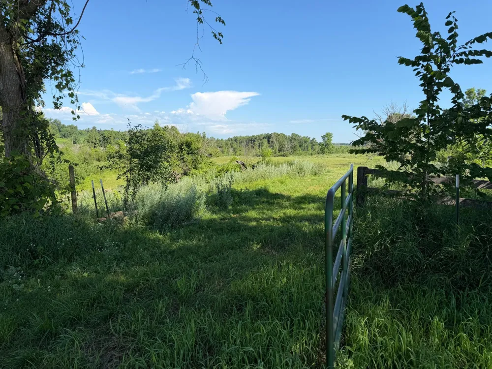 TBD 215th Avenue Long Prairie, MN 56347