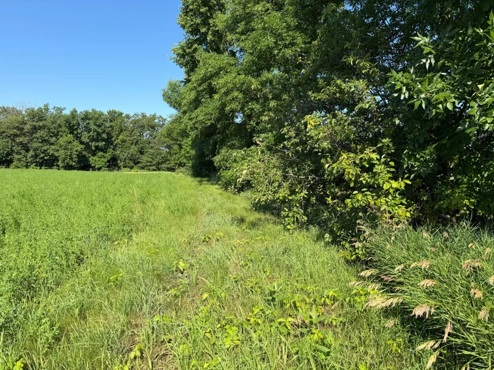 TBD 215th Avenue Long Prairie, MN 56347