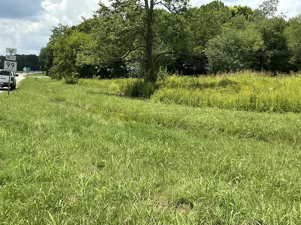 0 Bear Creek Pike Columbia, TN 38401