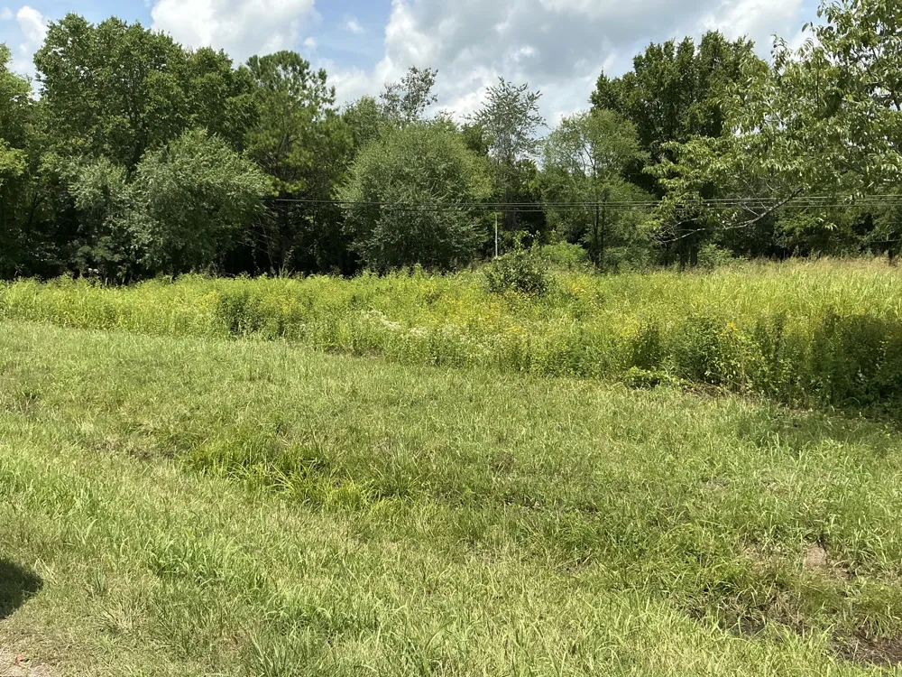 0 Bear Creek Pike Columbia, TN 38401