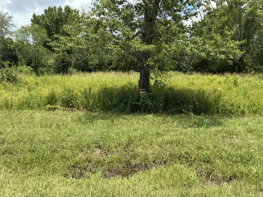 0 Bear Creek Pike Columbia, TN 38401