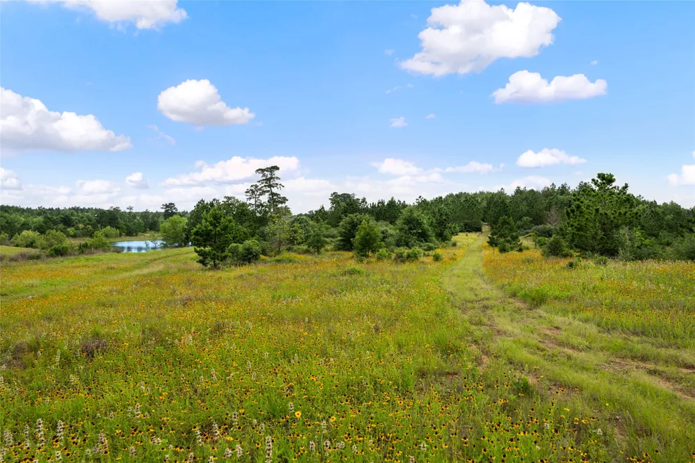 493 Cottletown Road #C Smithville, TX 78957