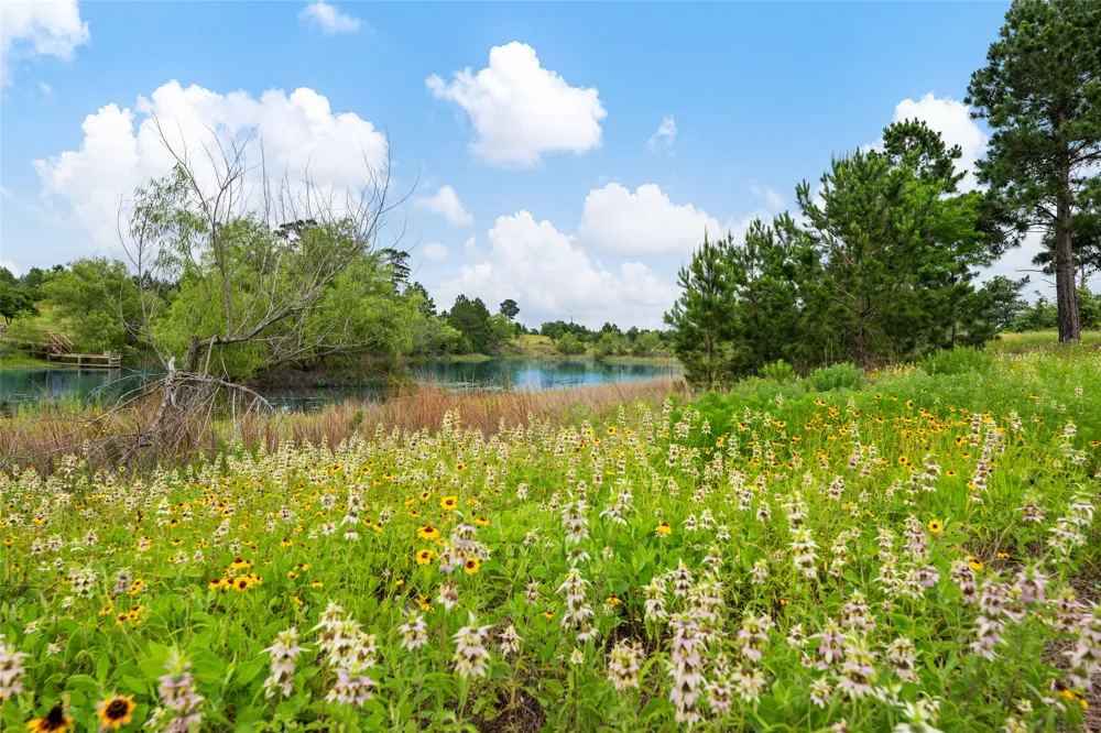 493 Cottletown Road #C Smithville, TX 78957