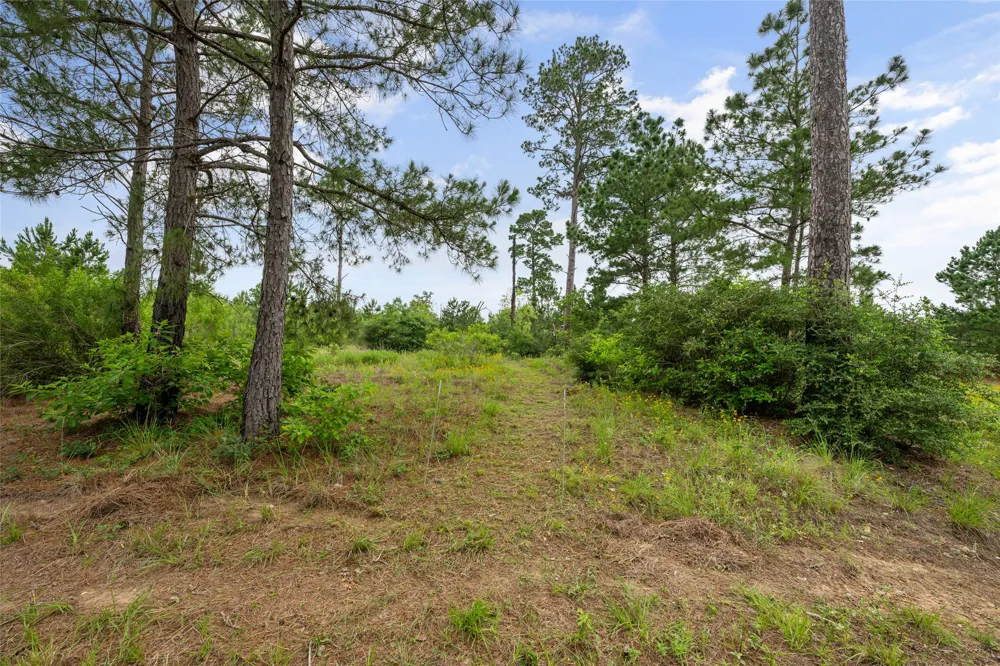 493 Cottletown Road #C Smithville, TX 78957