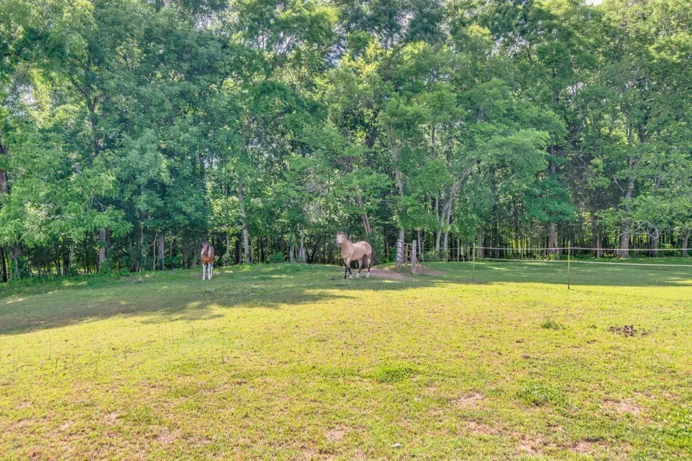 5292 Beckwith Rd Mount Juliet, TN 37122