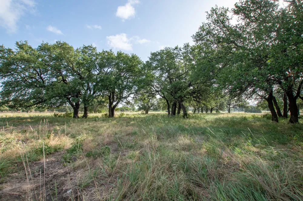 103 Fm-1047 Evant, TX 76880