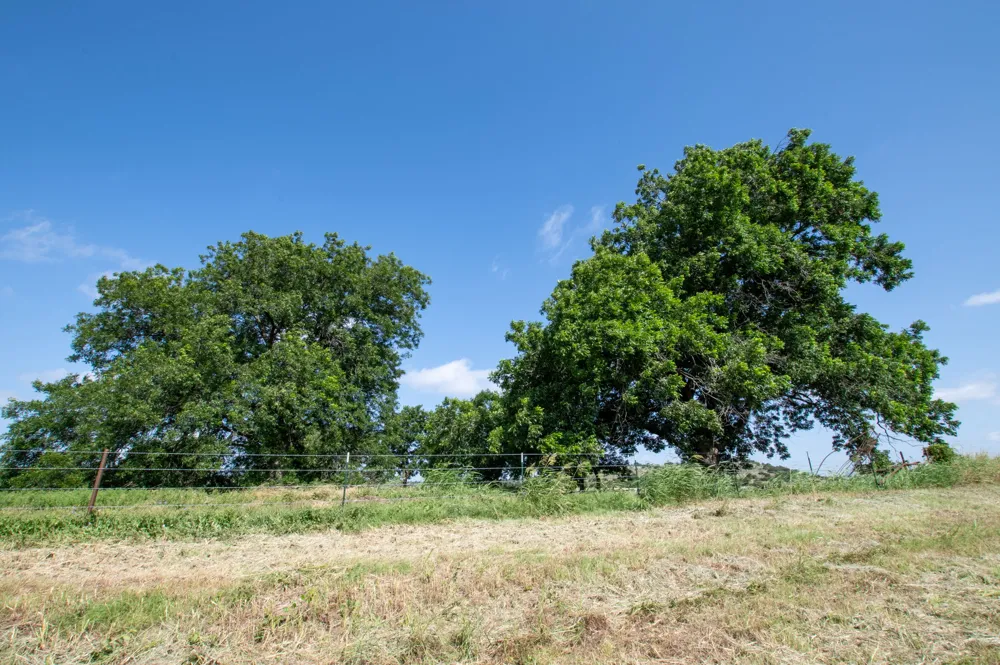 103 Fm-1047 Evant, TX 76880