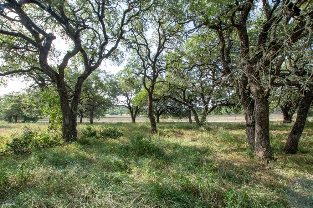 103 Fm-1047 Evant, TX 76880