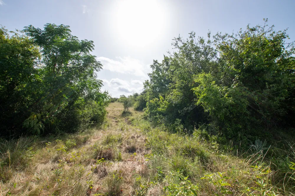 102 Fm-1047 Evant, TX 76880