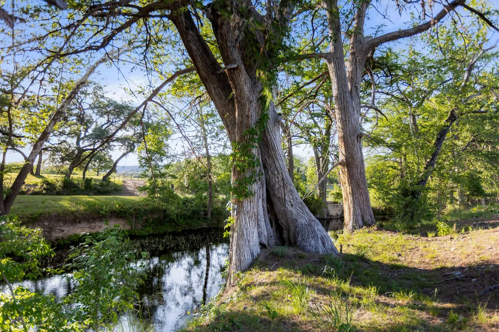 4292 N Us 83 Highway Leakey, TX 78873