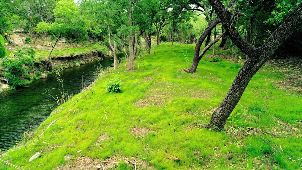 1 CR 321 Bertram, TX 78605