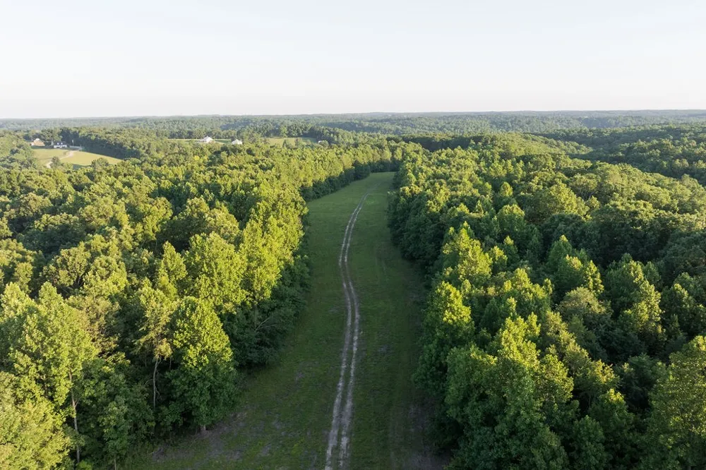 0 Shoals Branch Rd Primm Springs, TN 38476