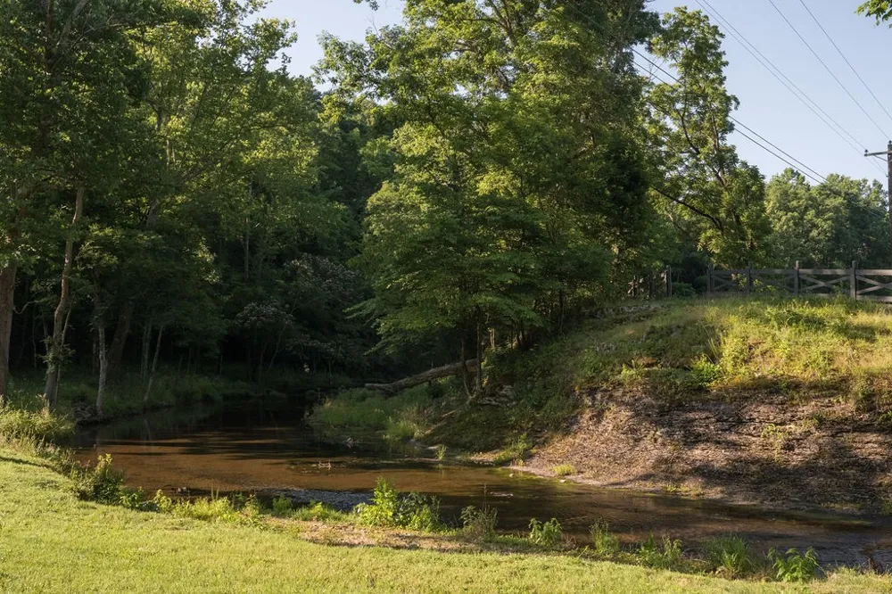 0 Shoals Branch Rd Primm Springs, TN 38476