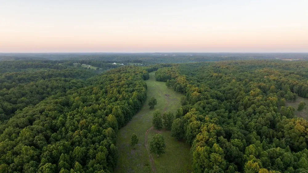 0 Shoals Branch Rd Primm Springs, TN 38476