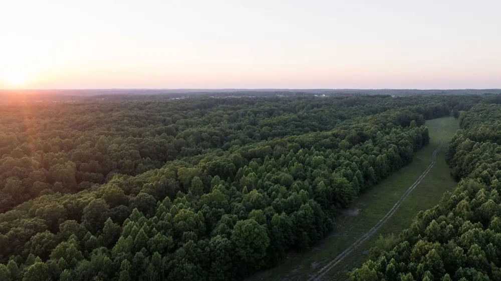 0 Shoals Branch Rd Primm Springs, TN 38476