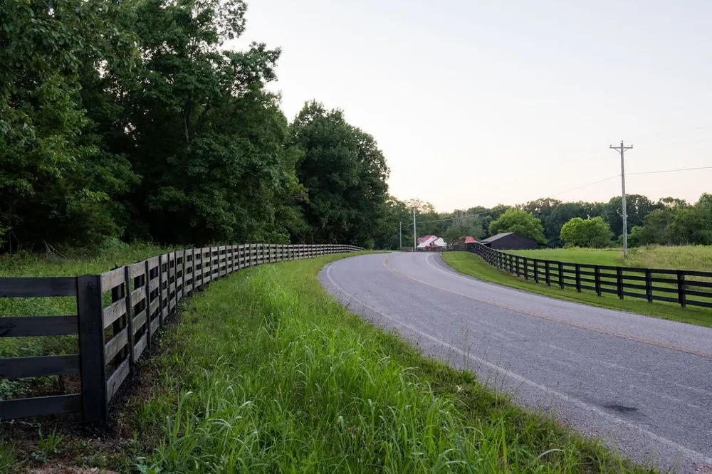 0 Shoals Branch Rd Primm Springs, TN 38476