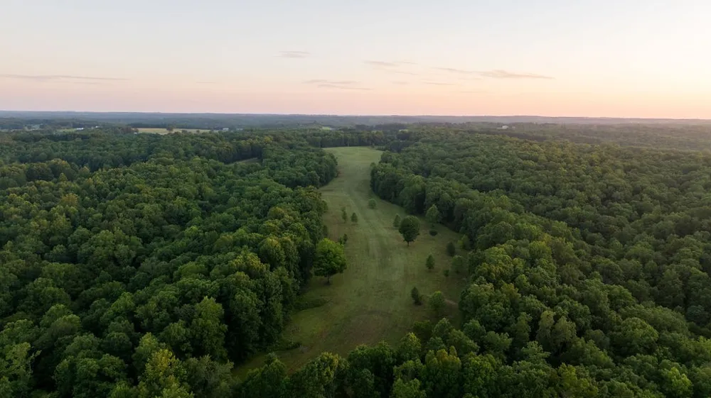 0 Shoals Branch Rd Primm Springs, TN 38476
