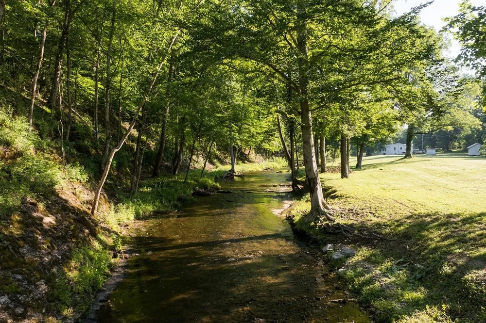 0 Shoals Branch Rd Primm Springs, TN 38476