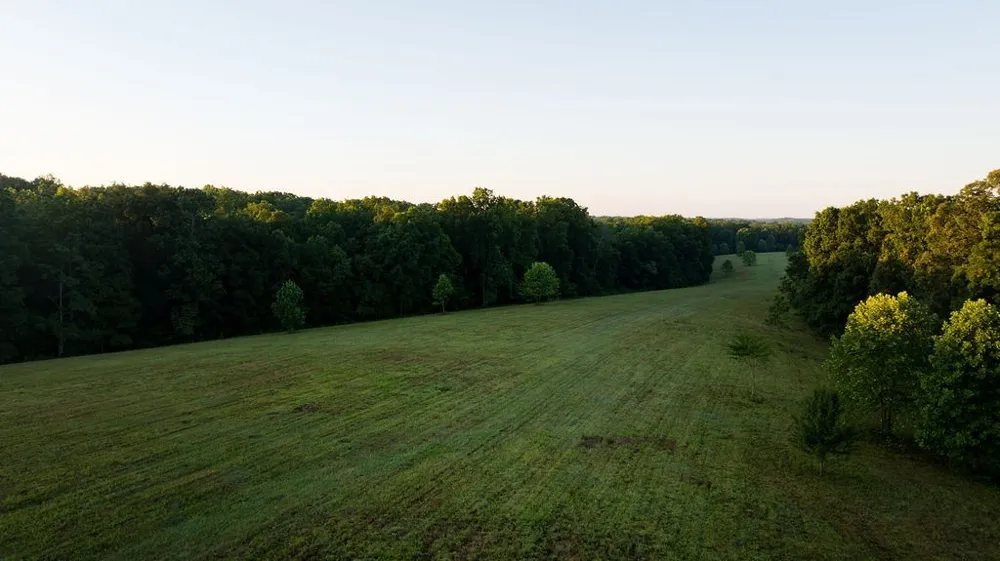 0 Shoals Branch Rd Primm Springs, TN 38476