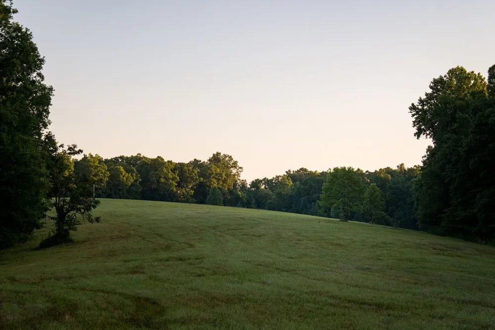 0 Shoals Branch Rd Primm Springs, TN 38476